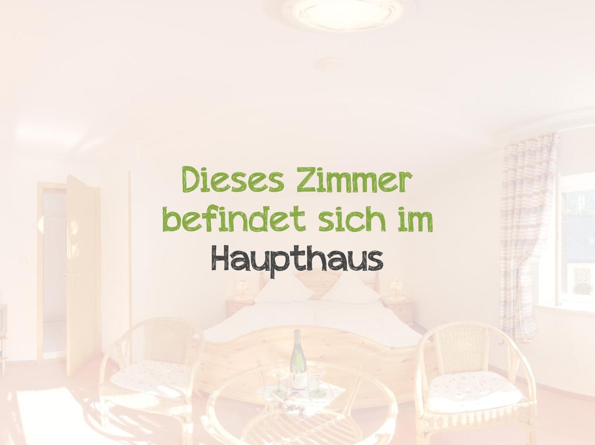 Hotel Weingut Schuetzen Зенхайм Номер фото